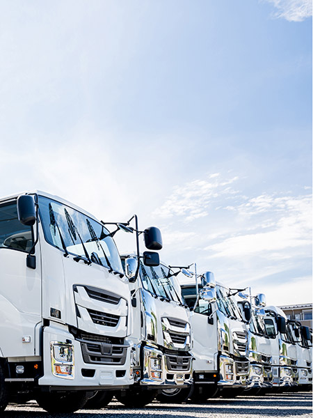 movimentazione-materiali-di-ogni-grandezza